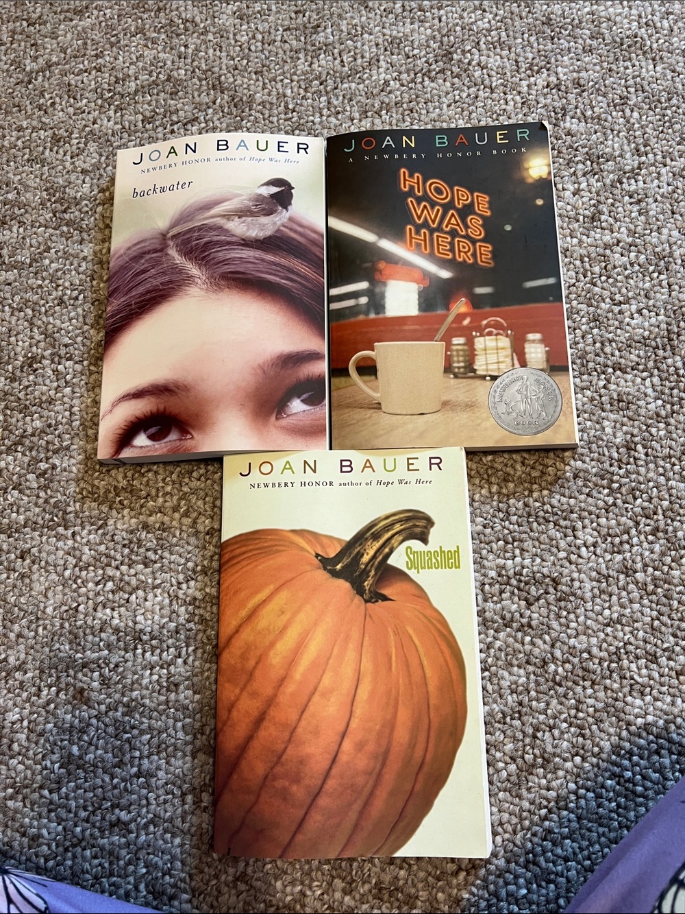Joan Bauer Paperback Book Set - Neutral, Orange, Black Covers